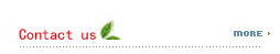 Contact us