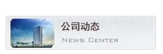 公司动态